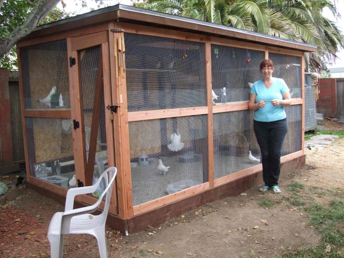 Loft pigeon lofts roller pigeons racing cage